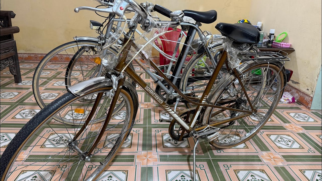 Xe đạp chơi víp | PEUGEOT | IKARUS | MOTOBECANE ưng em nào lh e nhé.0975775716