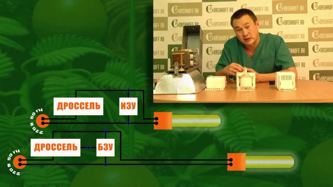 #014 ИЗУ и БЗУ