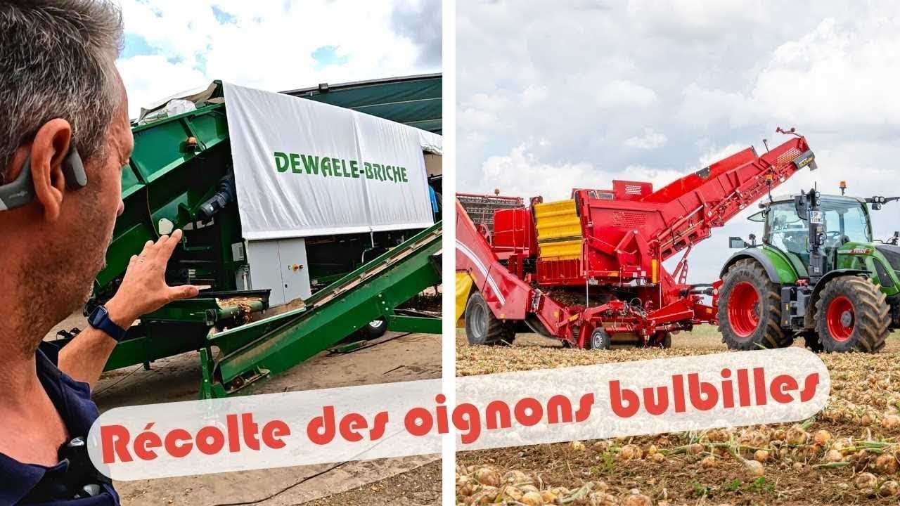 Récolte des oignons pendant les moissons : mise en route du nouveau déterreur !