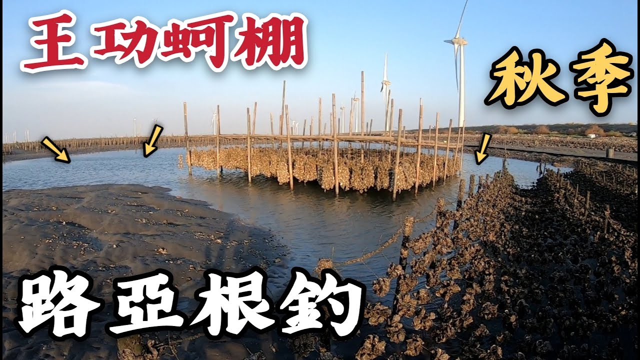 2020.09.XX 彰化【王功漁港】蚵棚路亞根釣 豐富底棲性魚種 唯獨不見鯛民  黑鯛/黑格/黑點仔/黑星笛鯛/火斑笛鯛/海鰱仔/花生/石鱸/花身雞魚/路亞/根釣/陳小Chi路亞日誌
