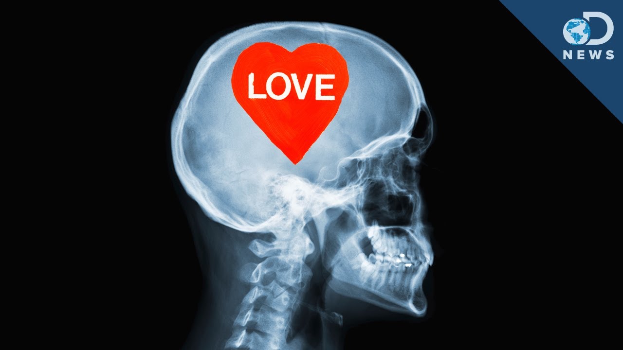 The Science of Love