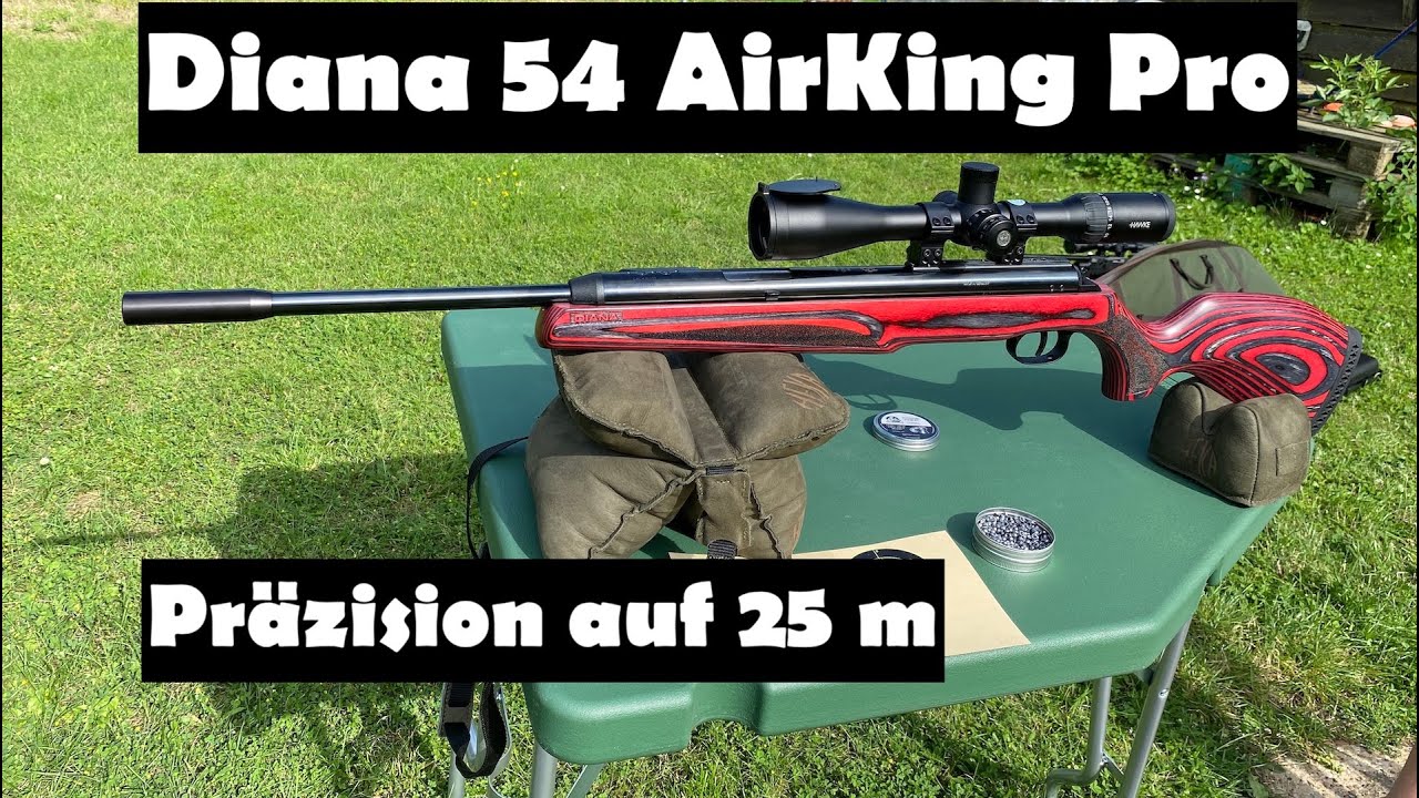 Diana 54 AirKing Pro auf dem Schießplatz