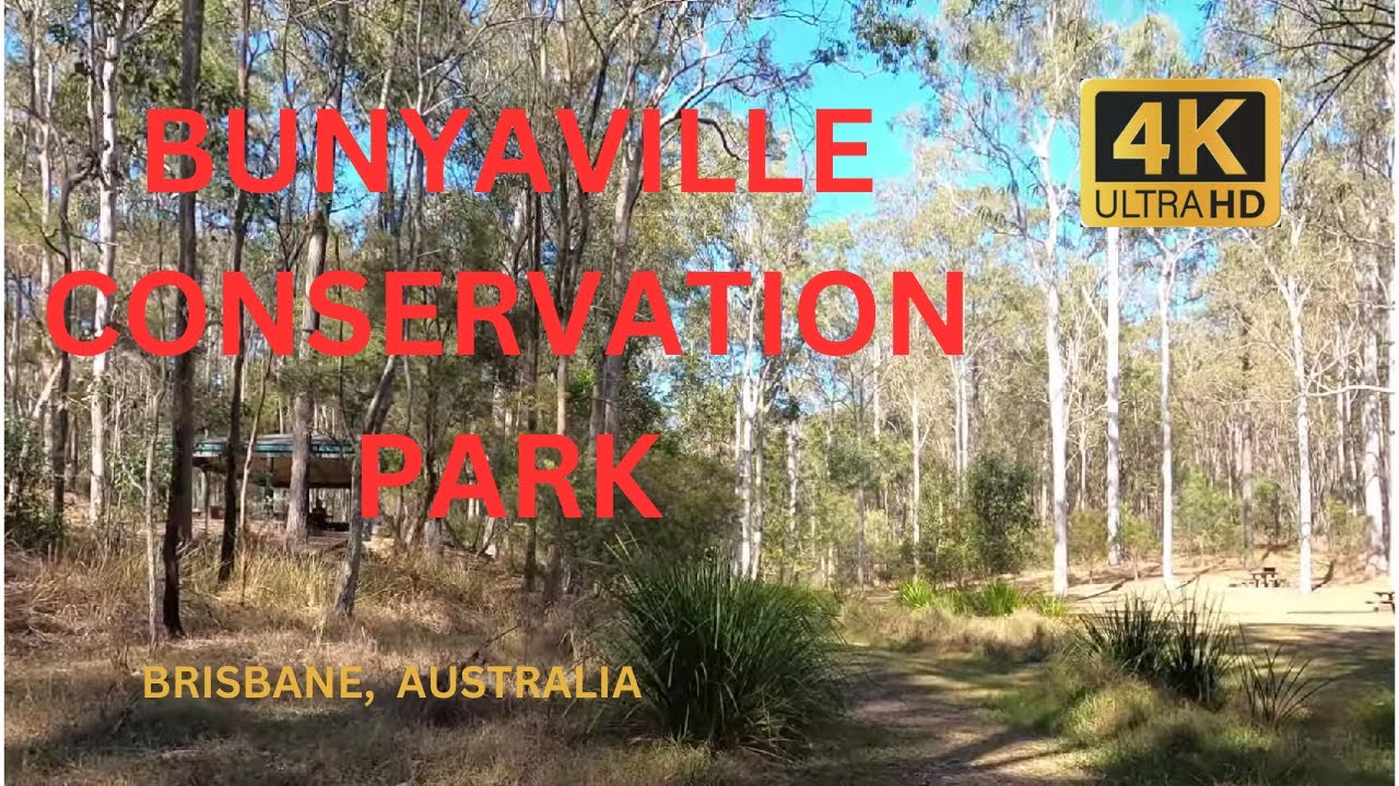 Brisbane, Australia: Bush walking in Bunyaville Conservation Park (4K)
