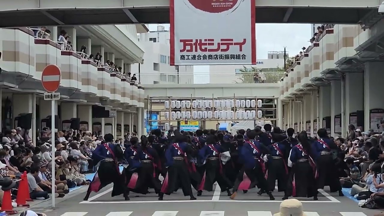 早稲田大学
