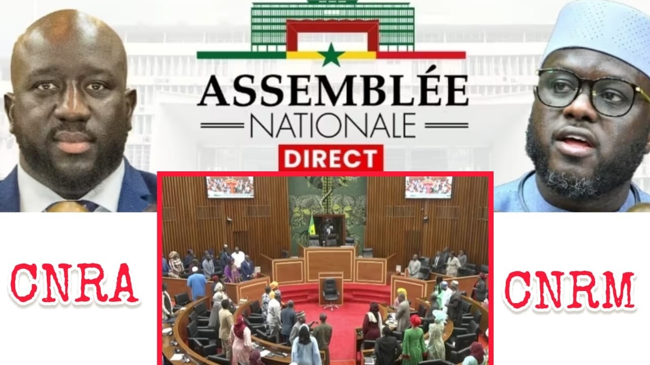 DIRECT: actu sur MMD MEDIA TV