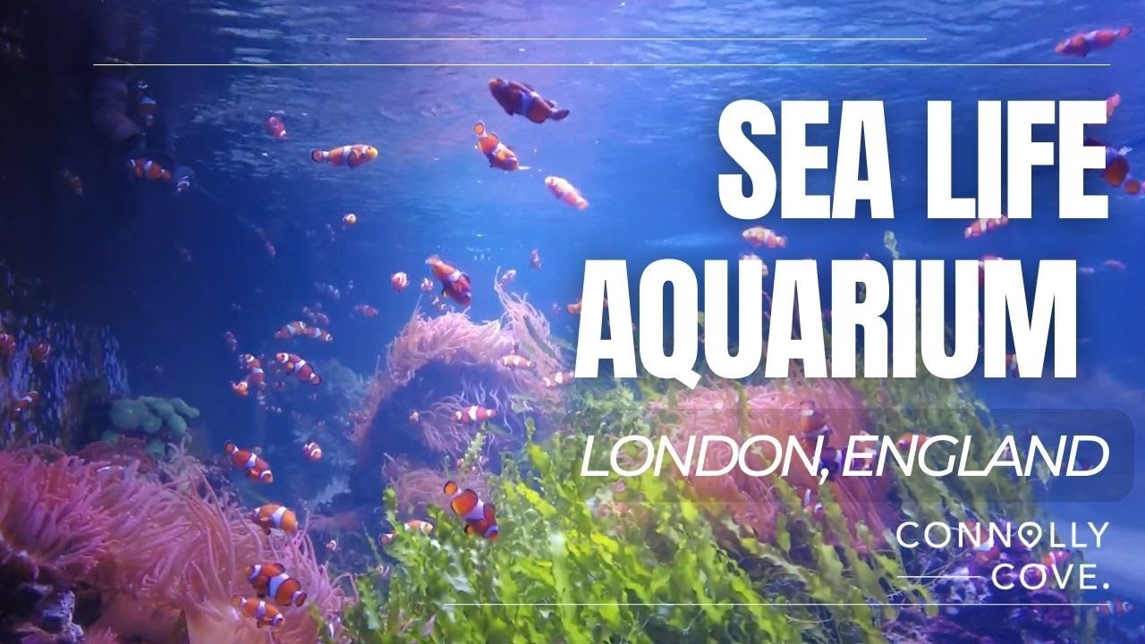 Sea Life Aquarium | London | England | Things To Do In London | Travel Vlog
