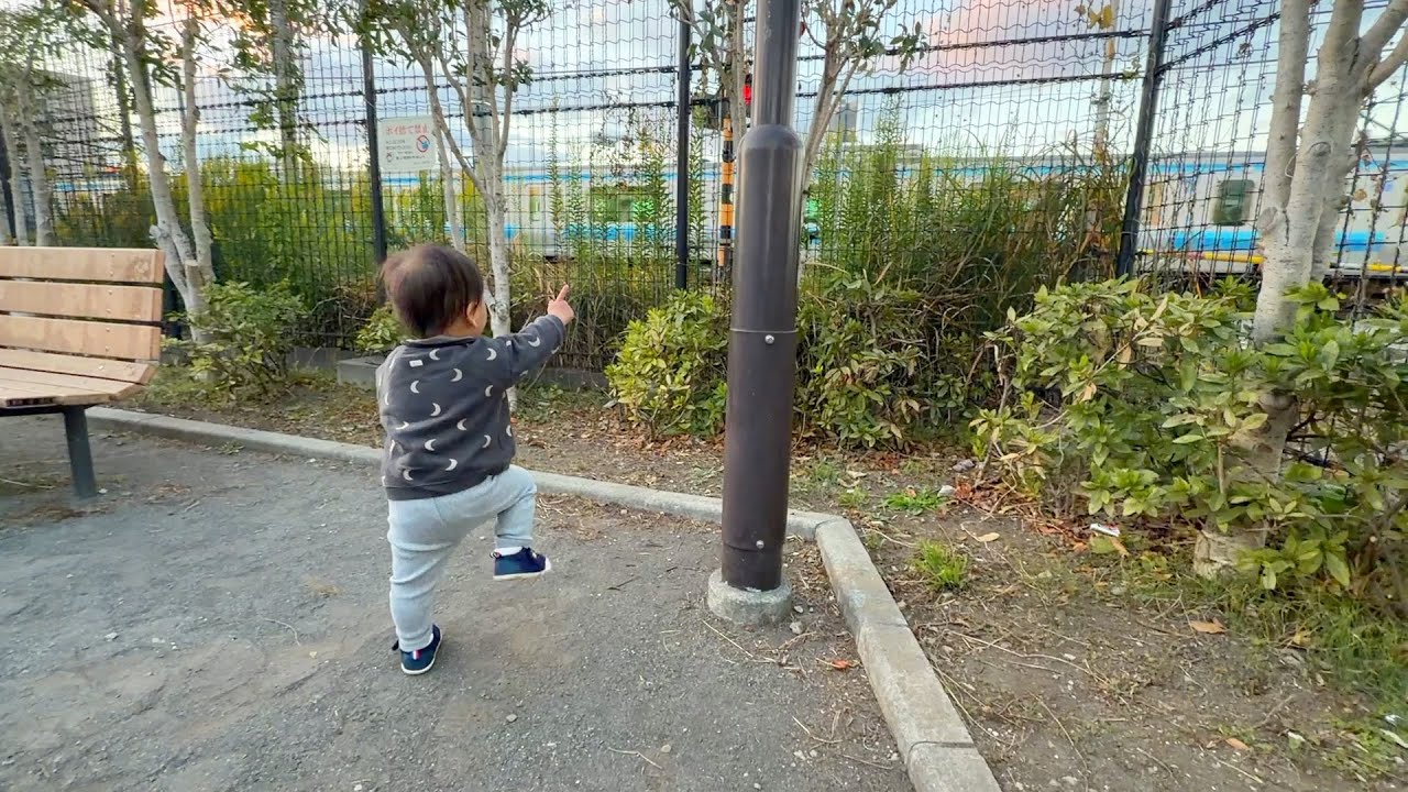 20251124~ こっこ（電車）大好き