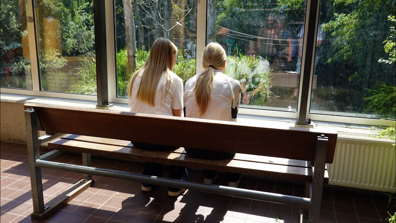 Bezoek aan ARTIS met Sophie dl2. Wat gaan we tegen komen? Daarna eten buiten Artis #3838