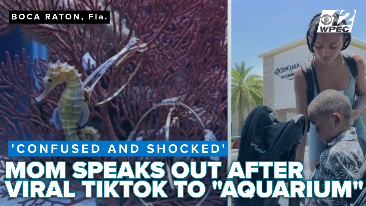 Viral TikTok shows mother's shock after day trip to Boca Aquarium leaves her feeling 'bamboozled'