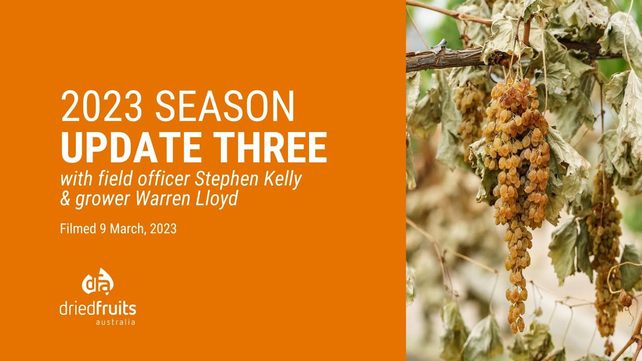 2023 Australian dried grape season update #3