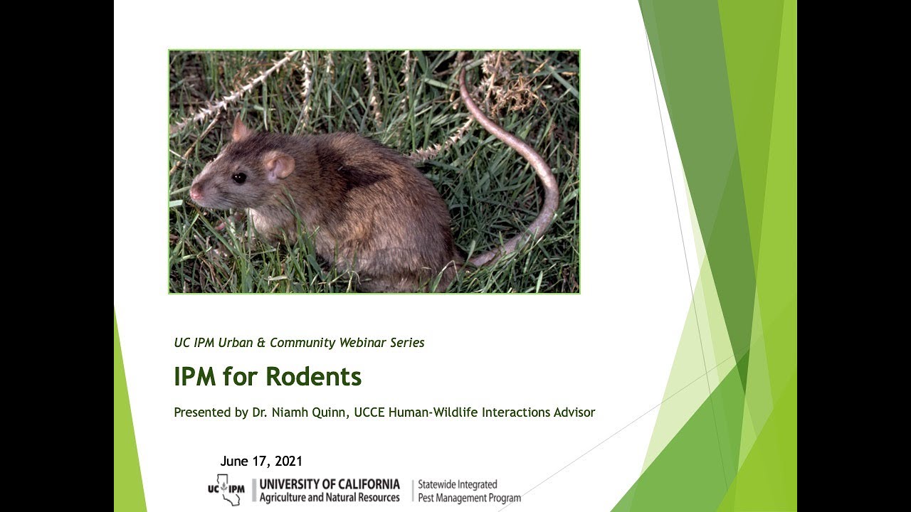 IPM for Rodents