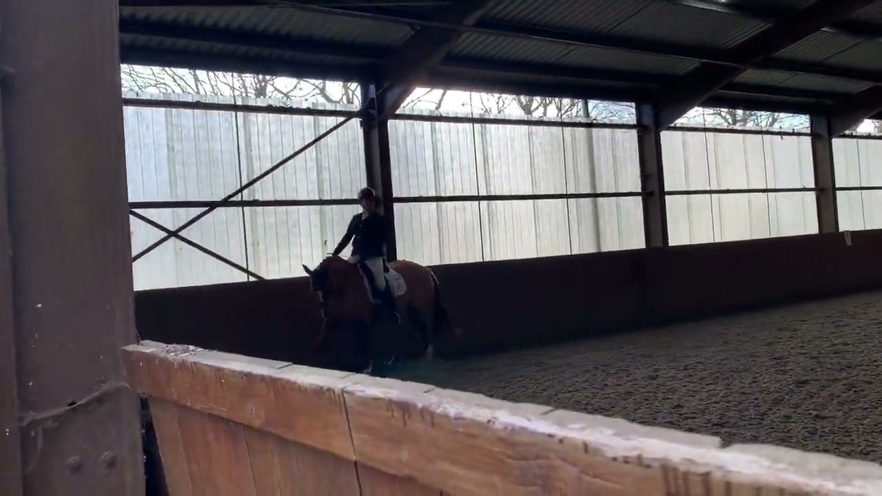 Sillan Clementine BD Elementary Test 4 Belmoredean 14.11.24