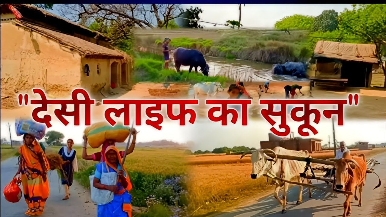 सुकून चाहिए तो गाँव आओ ❤️ | असली देसी लाइफ़ कैसी होती है?