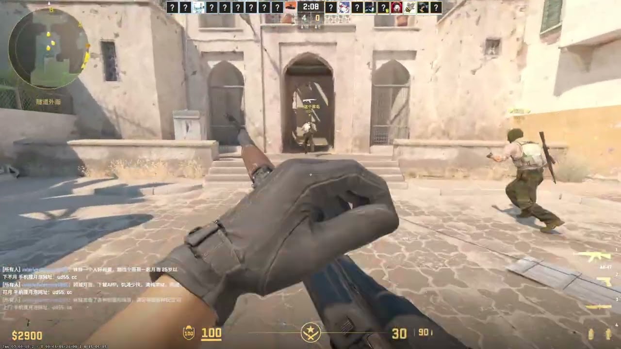Counter-Strike 2 #0115