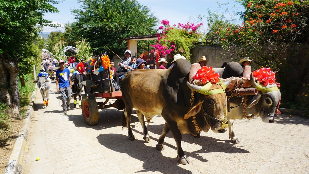 TRADICIONES DE CUILAPAM DE GUERRERO