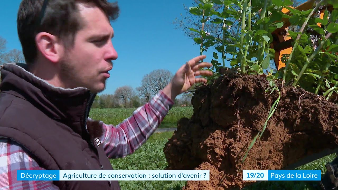 L'Agriculture de Conservation des Sols (ACS), une réponse à la sécheresse ?