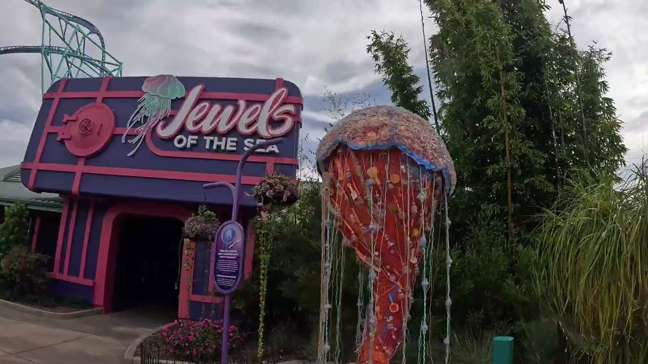 3/6/2026: SeaWorld San Diego - Jewels of the Sea - The Jellyfish Experience
