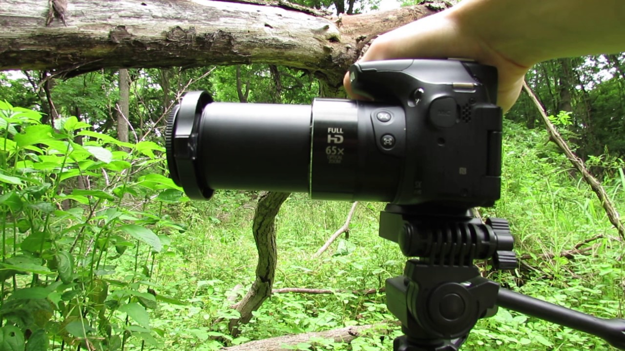 $50 Attachable Macro Lens for Photography [Raynox DCR-150]