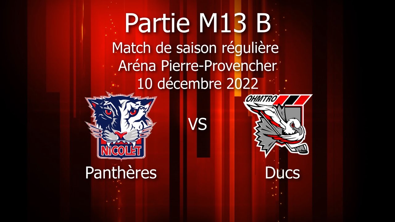 Panthères VS Ducs
