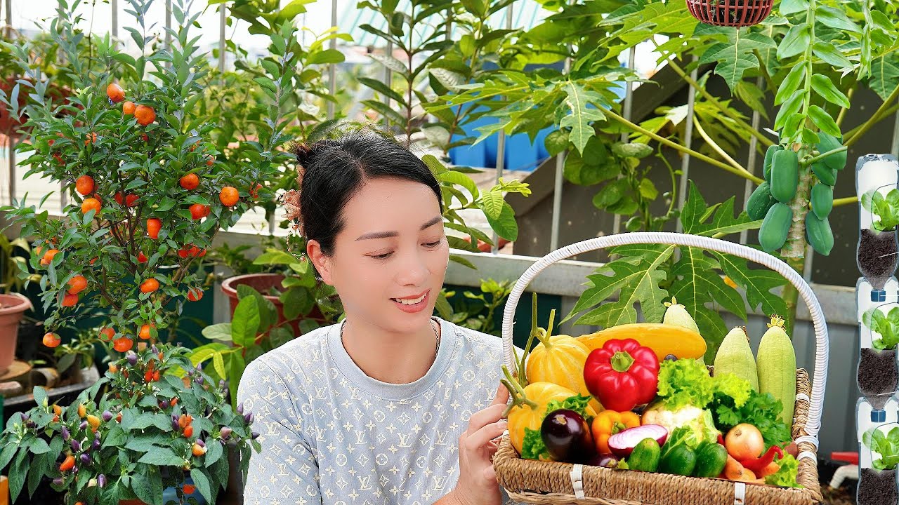 How I Grow a Balcony Fruit Garden | Fresh Harvest in Small Spaces