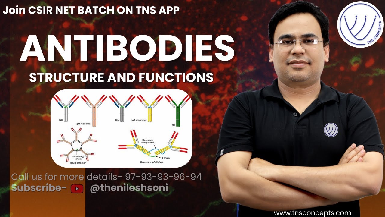 Antibodies and Antigens | Immunoglobulins | IgG | IgA | IgM | IgE | IgD | IgE | Immunology | Nilesh