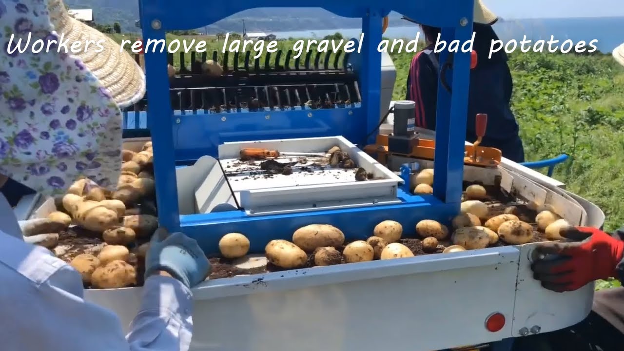 how grimme sweet potato harvesters work | agricultural machinery part 1