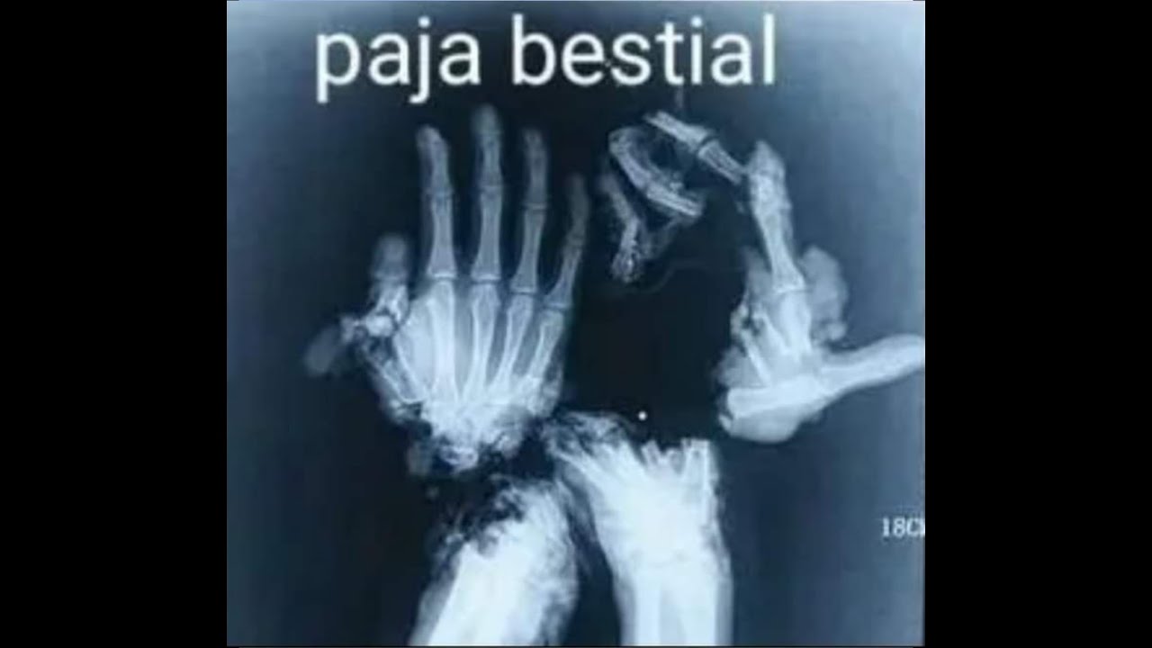 Shitpost Compilation #3 👻👻