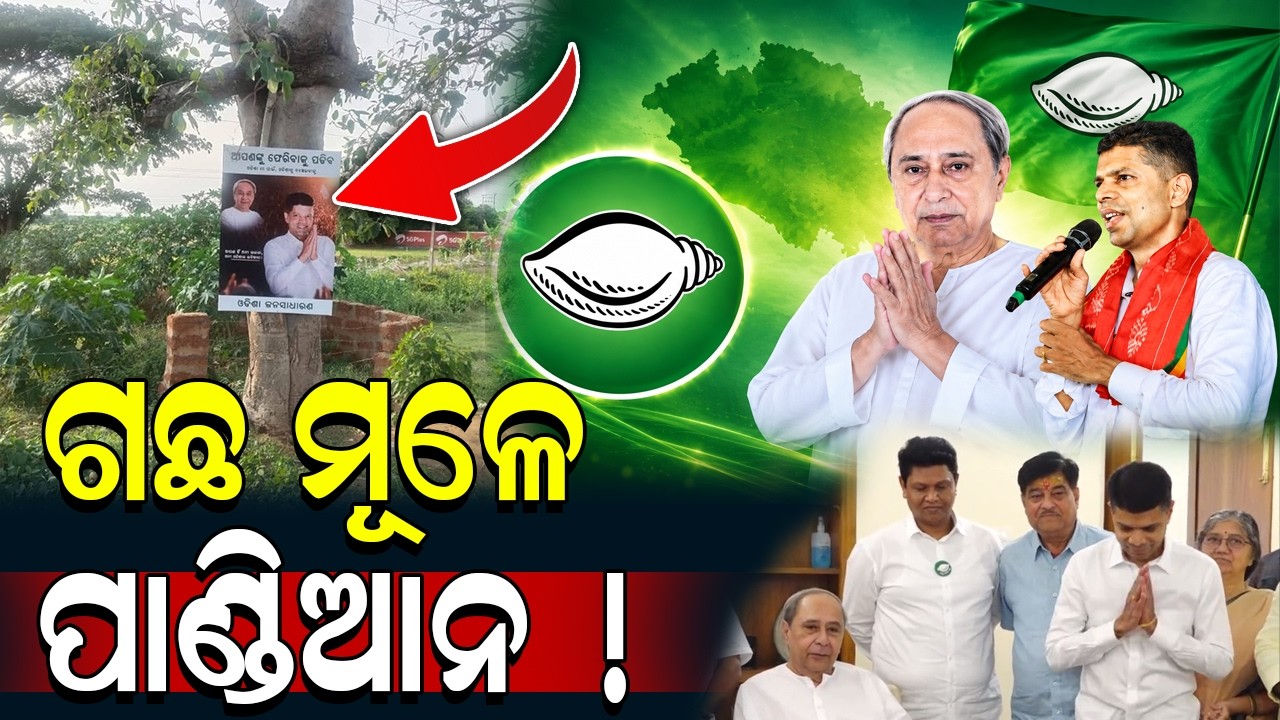 ଗଛ ମୂଳେ ପାଣ୍ଡିଆନଙ୍କୁ ଖୋଜୁଛନ୍ତି ଲୋକେ; ପୁଣି ଫେରିବେ କି ପାଣ୍ଡିଆନ ? | VK Pandian | BJD | Naveen Patnaik