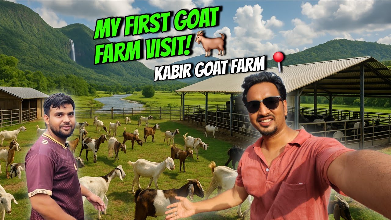 First Time at a Goat Farm 🐐! | Kabir Goat Farm |Palai System | Beautiful Village Near Bhiwandi🤩
