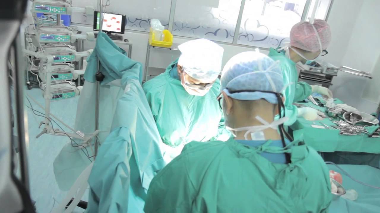 Medical Tourism in Malaysia