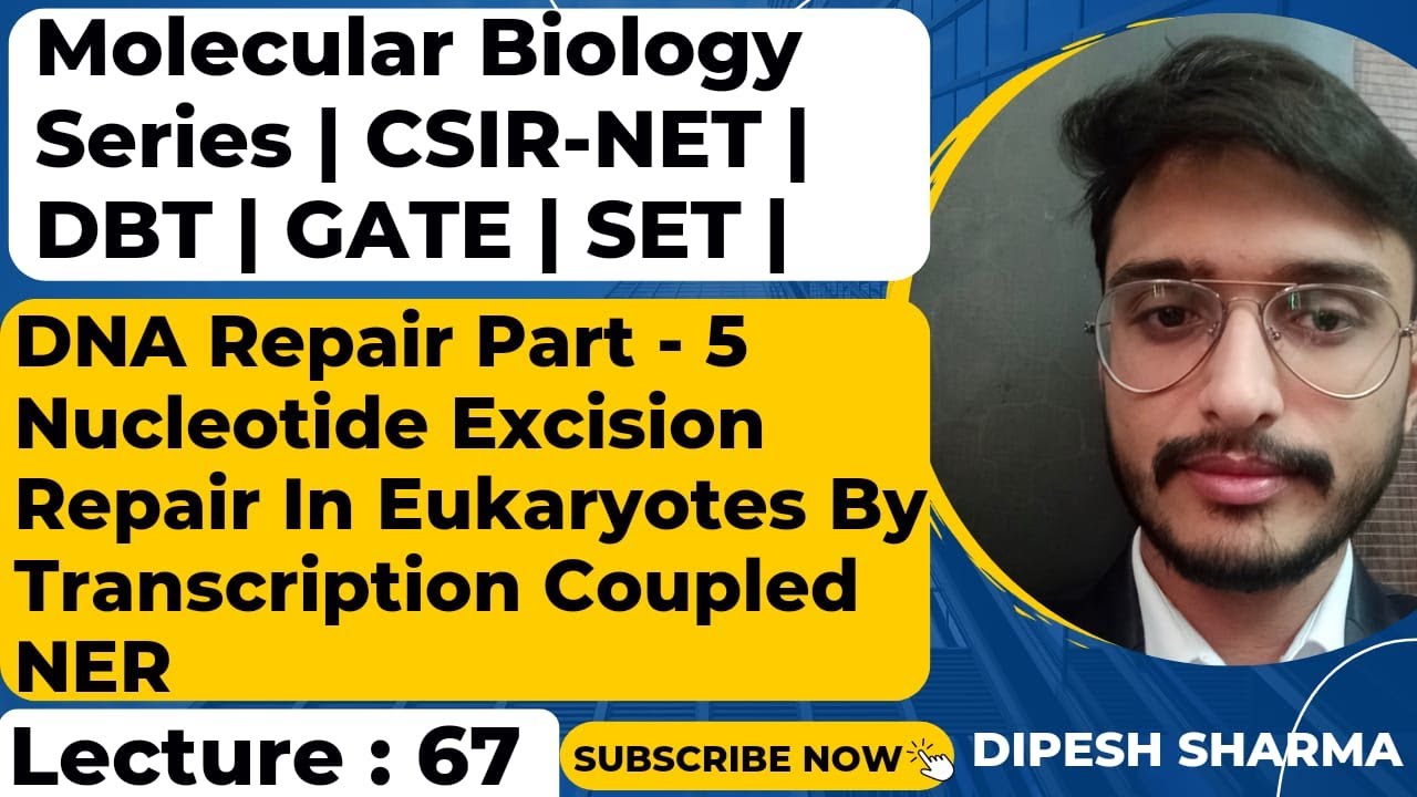 Molecular Biology Lecture 67 | DNA REPAIR PART 5 | NER By Transcription Couple NER METHOD | CSIR NET