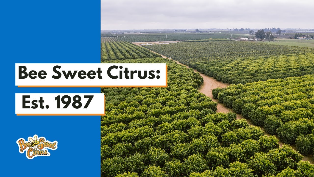 Bee Sweet Citrus: Est. 1987