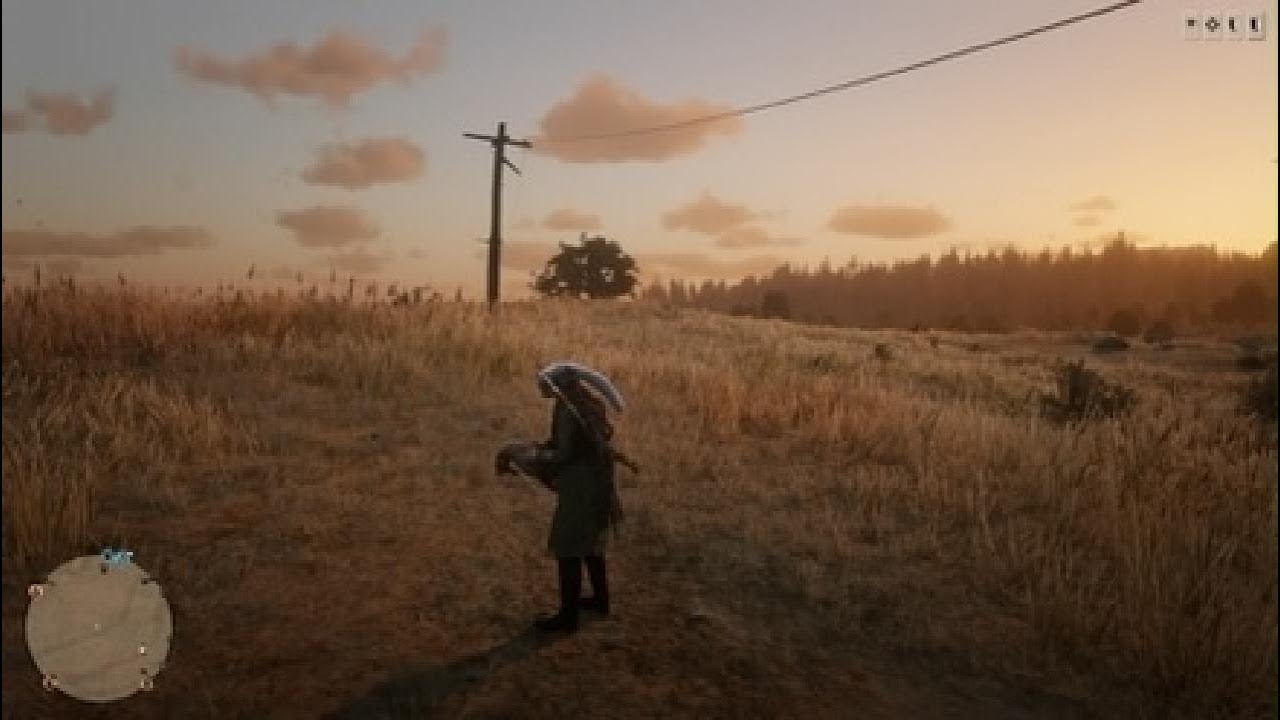 Red Dead Redemption 2_20260225213918
