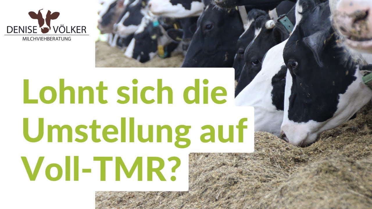 Lohnt sich die Umstellung auf Voll TMR