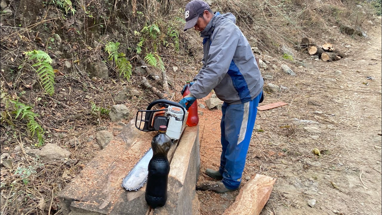 chainsaw  machine  plywood @ फालेक निकाल्दै बुठो चिल्याने रुख ।