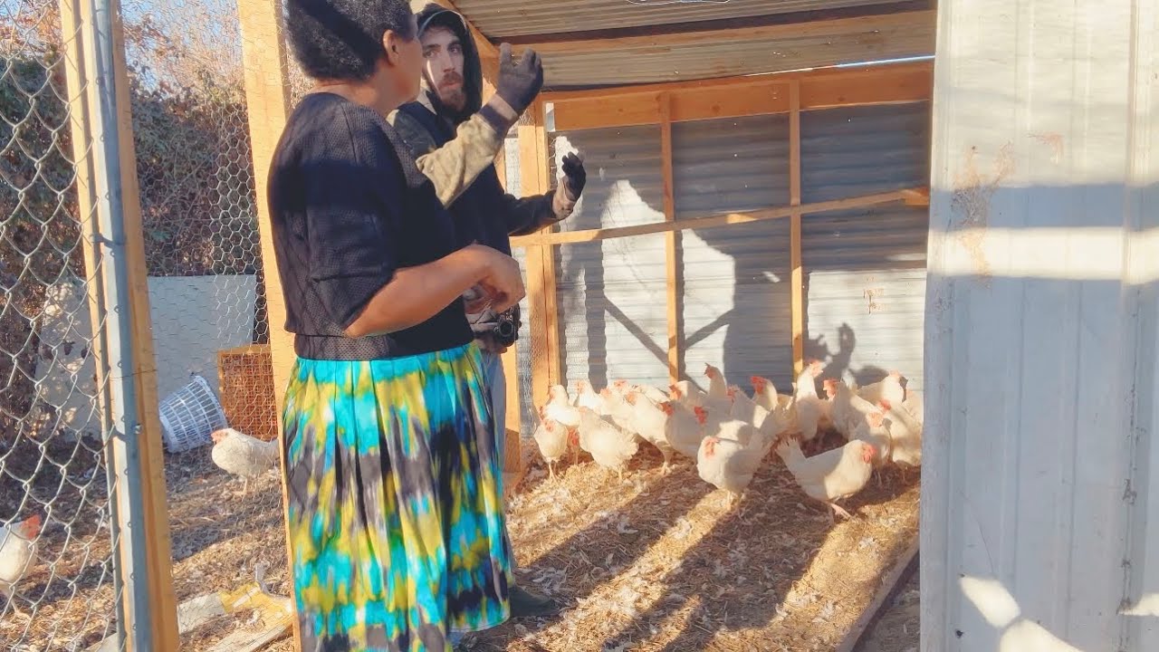 Ùmùthì Rekei Tùthiì Ìmwe Kwa Ìmwe Nginya Thoko ya Ngùkù. 🐓 #Rurallife.