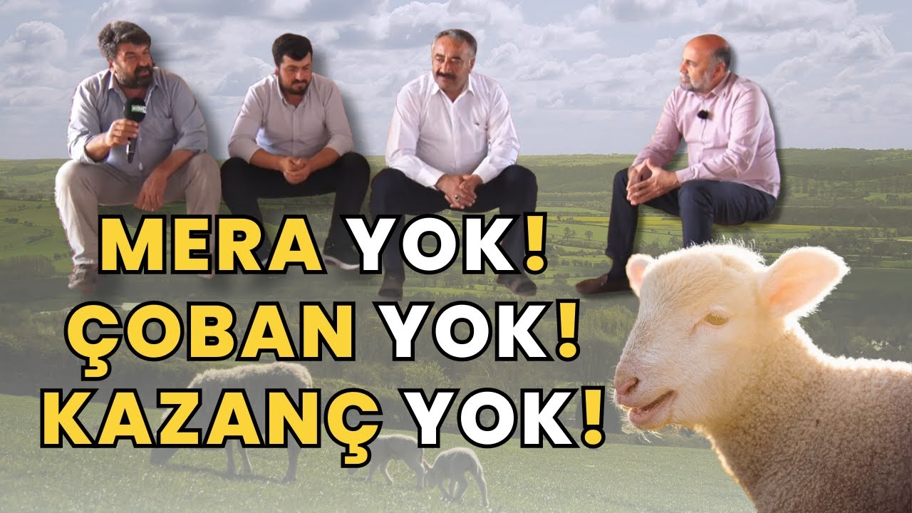 GAZİANTEP/ŞAHİNBEY SERİNCE KÖYÜNDE HAYVANCILIK FAALİYETLERİ | OSMAN TÜRKMAN İLE HAYVANCILIĞA DAİR