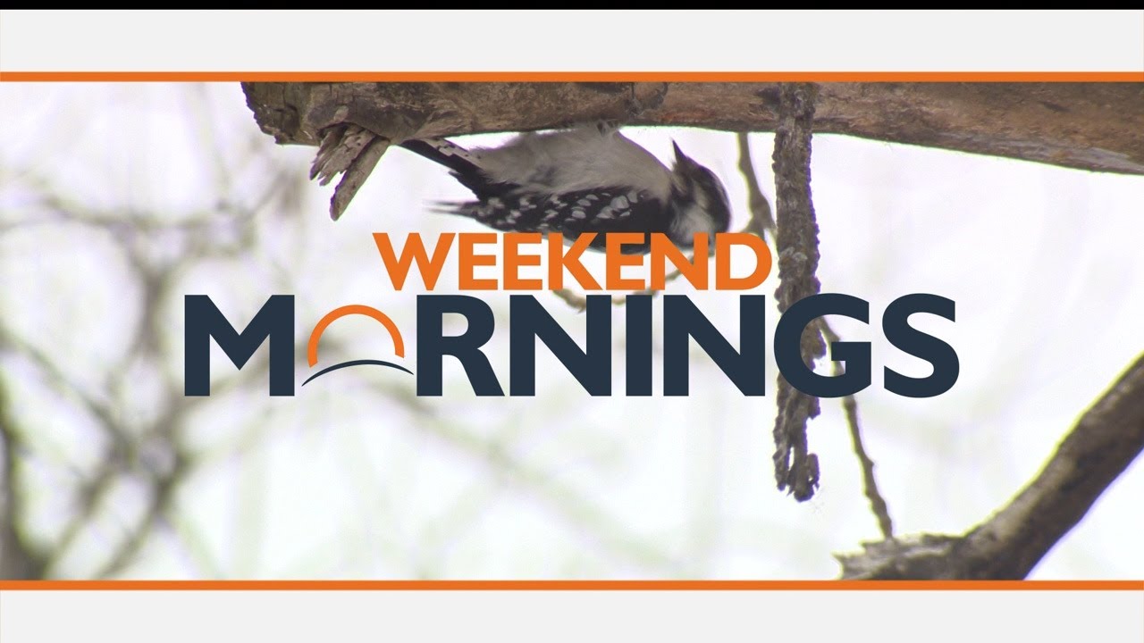 Weekend Mornings: February 14, 2026