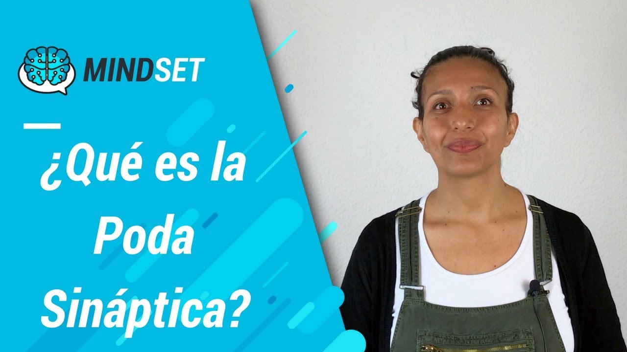 La poda sináptica en el cerebro