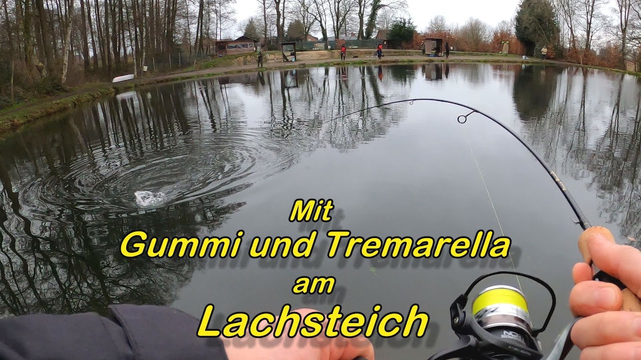 Mit Gummi und Tremarella am Lachsteich