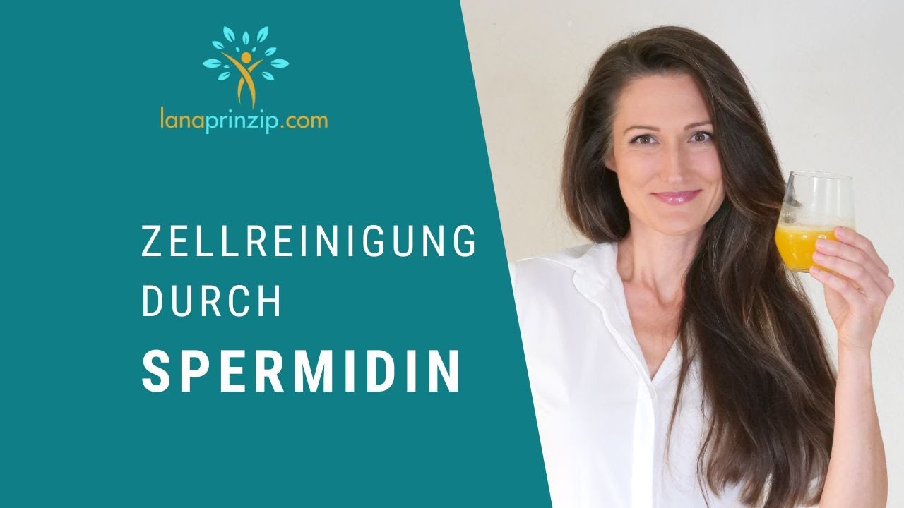 Langlebigkeitsforschung: Spermidin als Autophagie-Booster: Anwendung und Wirkung von Spermidin