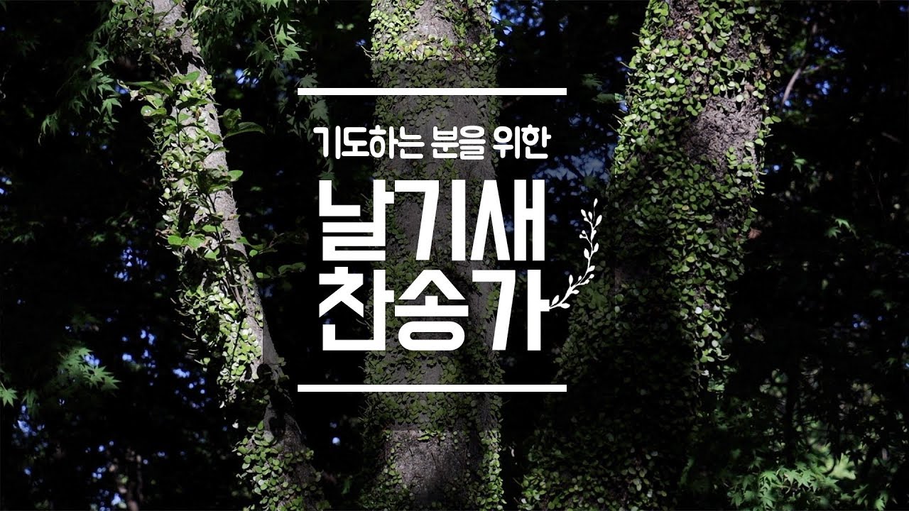 [Piano 찬송가]  기도하는 분들을 위한 찬송가 연주곡 모음