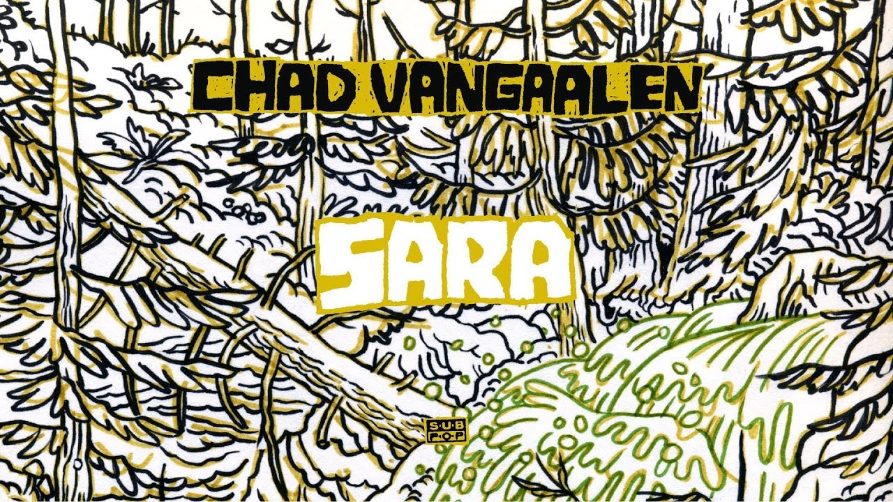 Chad VanGaalen - Sara