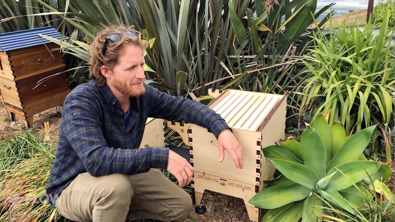 Flow Hive 2 tips and tricks 🍯🐝