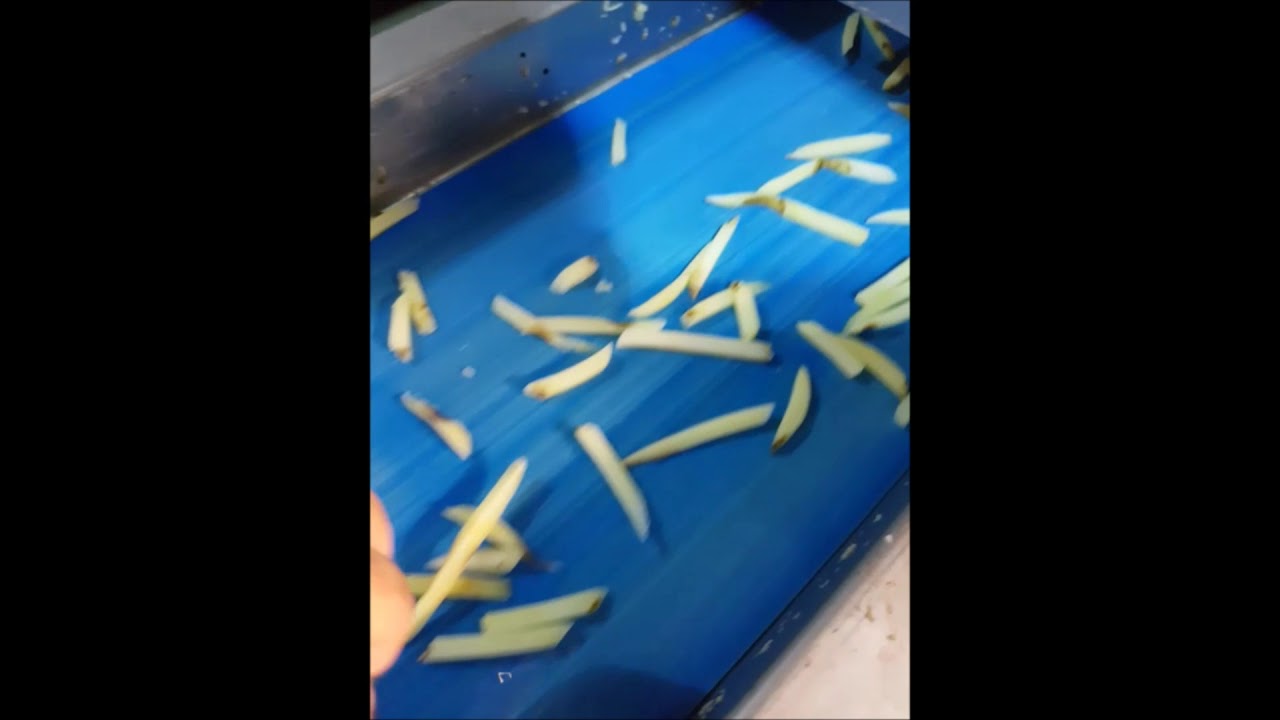 Dondurulmuş Parmak Patates Üretim Hattı / Frozen French Fries Production Plant