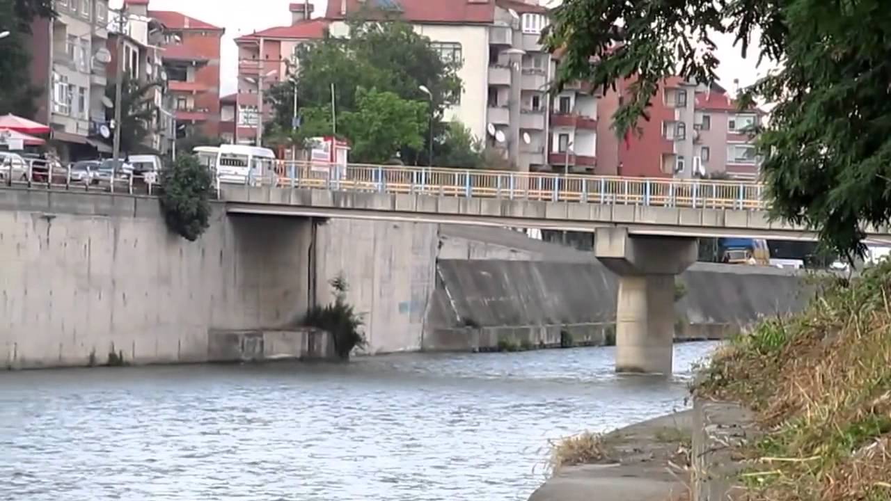 DEVREK 2013