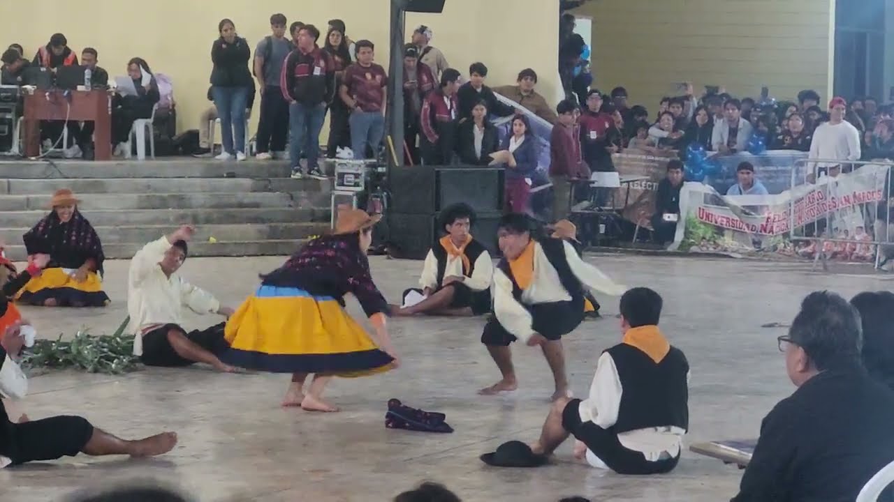 FIEE UNMSM FESTIVAL DE DANZA 2025