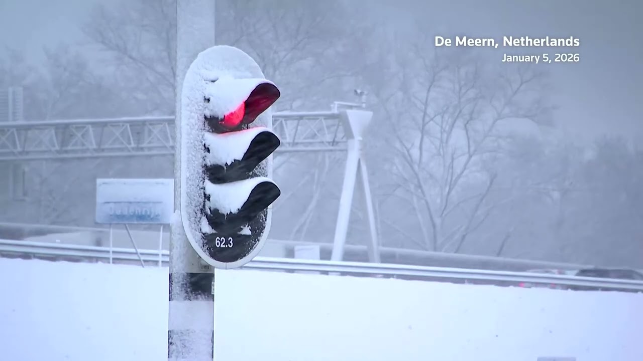 Heavy snow halts flights and trains across Netherlands | REUTERS