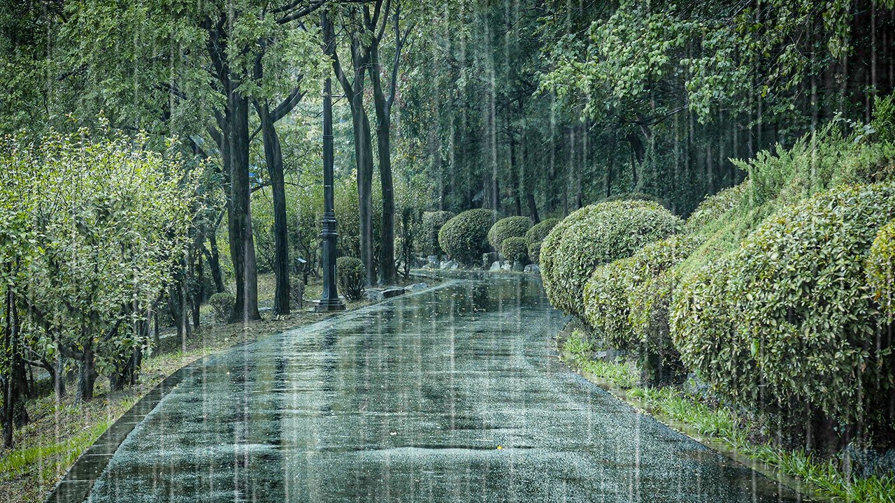 Just Close Your Eyes and Listen, Rain Sounds | Deep Sleep, Insomnia & Tinnitus Relief