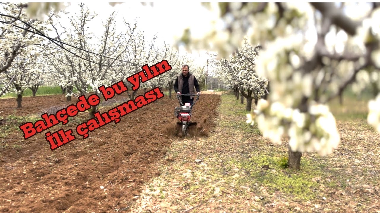 Bahçede bu yılın ilk çalışması